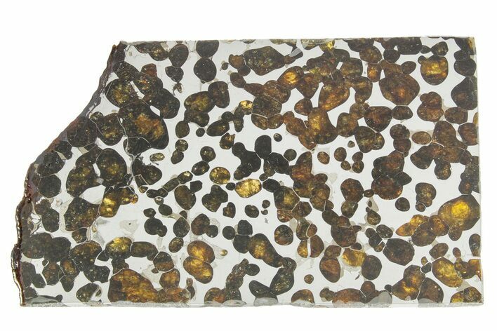 Sericho Pallasite Meteorite ( g) Slice - Kenya #375617